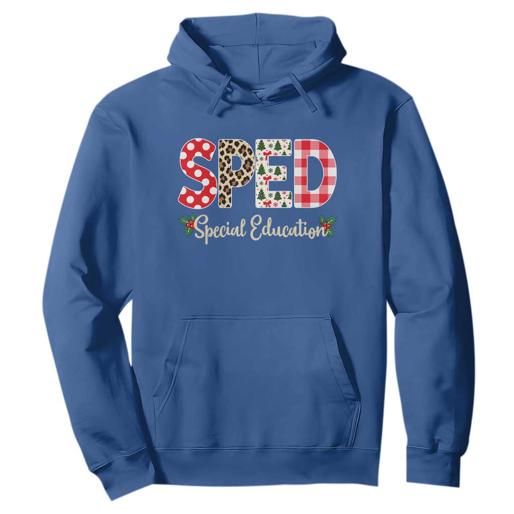 Christmas SPED Teacher Hoodie Leopard Plaid Special Education Educator Gift TS12