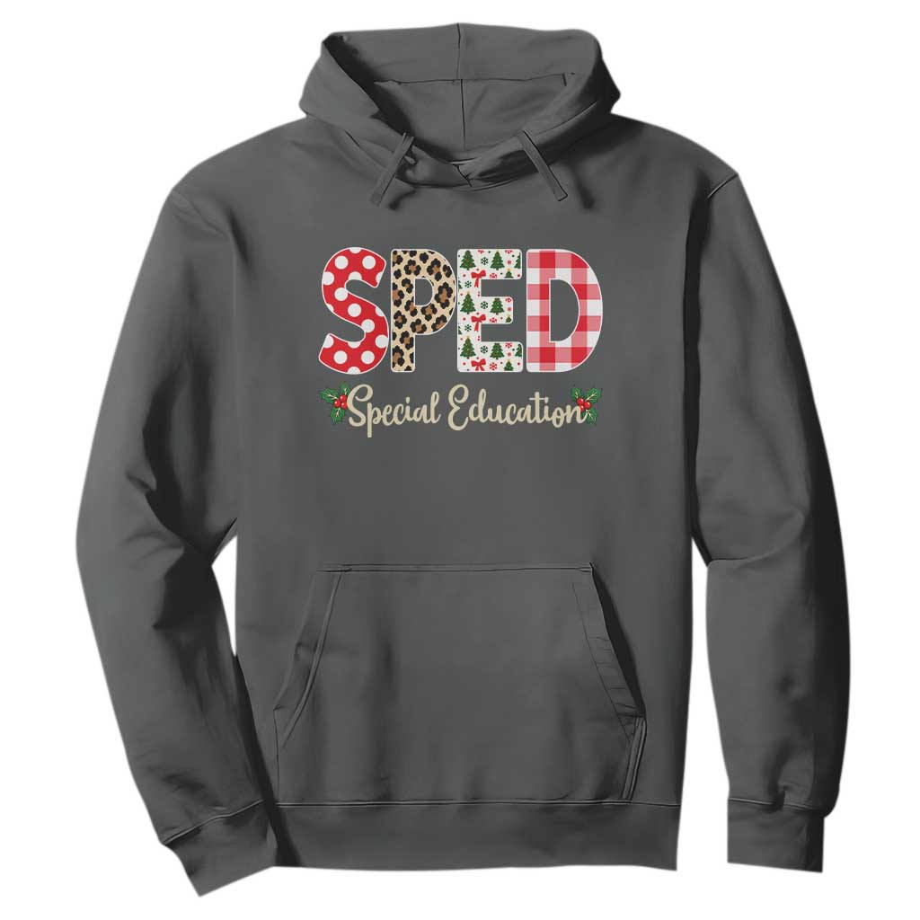 Christmas SPED Teacher Hoodie Leopard Plaid Special Education Educator Gift TS12