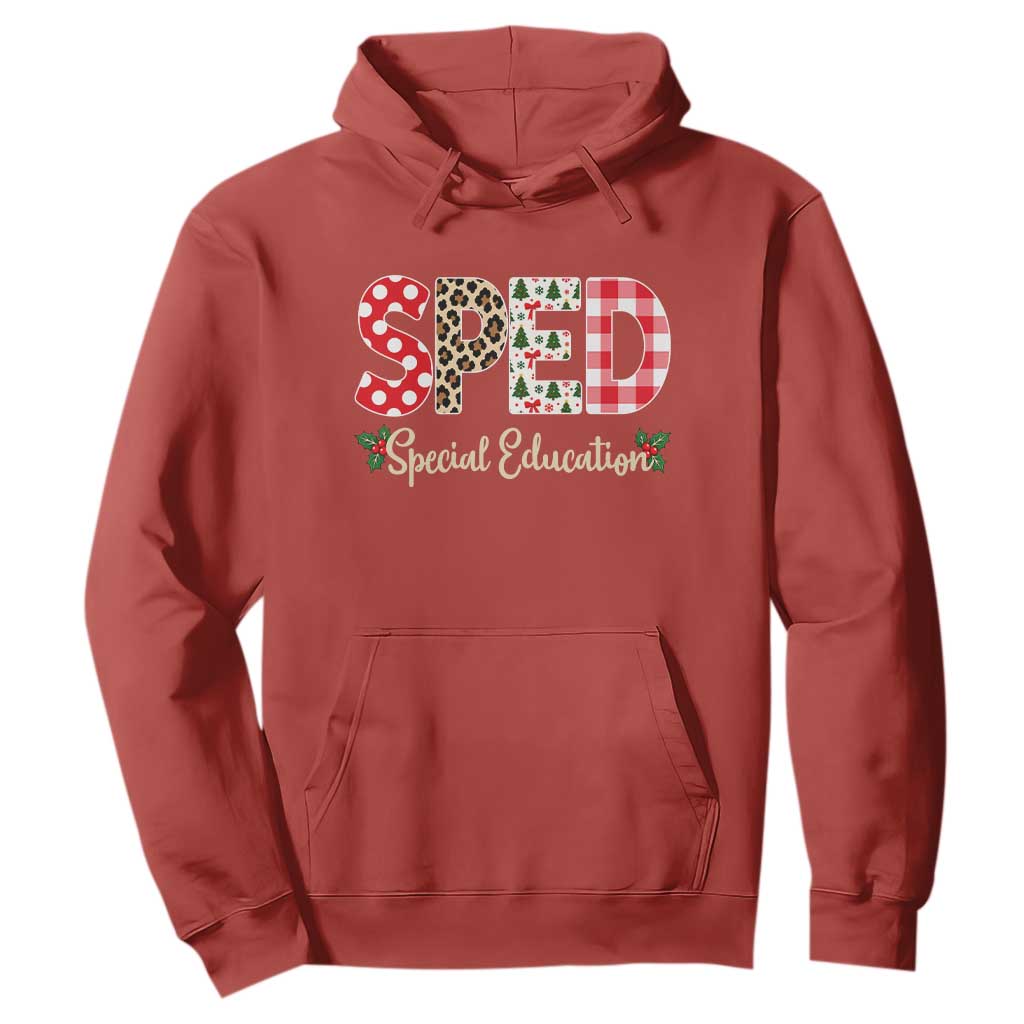 Christmas SPED Teacher Hoodie Leopard Plaid Special Education Educator Gift TS12