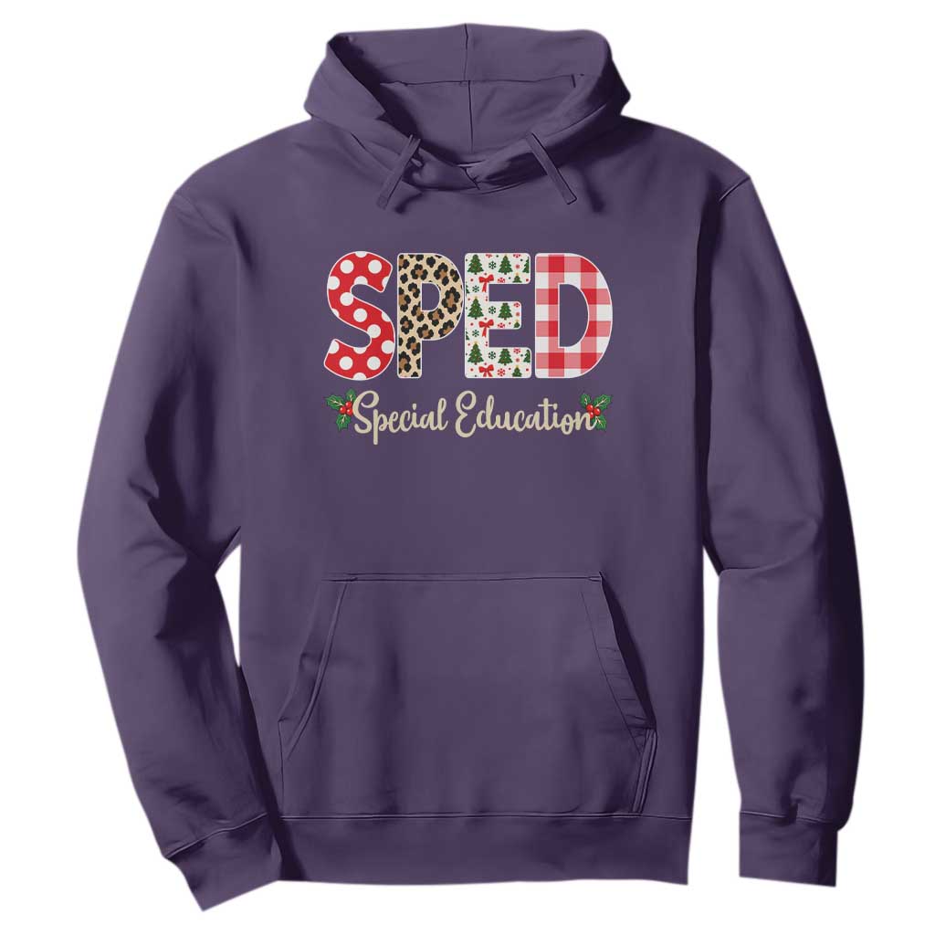 Christmas SPED Teacher Hoodie Leopard Plaid Special Education Educator Gift TS12