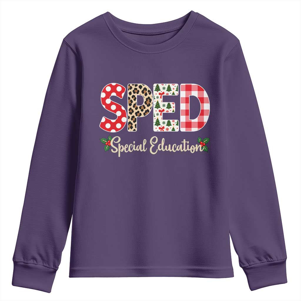 Christmas SPED Teacher Youth Sweatshirt Leopard Plaid Special Education Educator Gift TS12