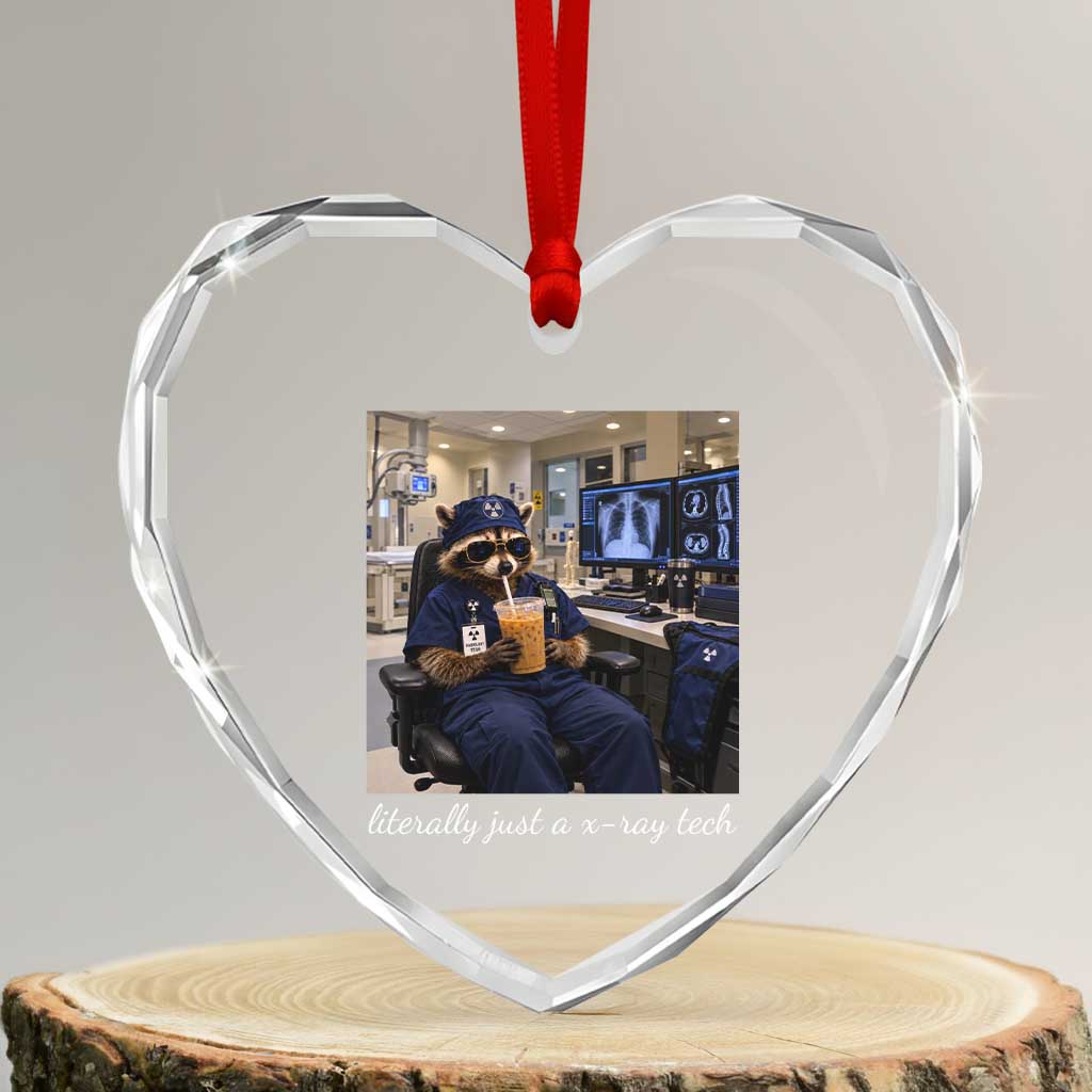 Funny Radiology Tech Raccoon Crystal Glass Ornament Literally Just A X ray Tech Nurses TS11